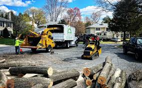 Why Choose Our Tree Removal Services in Garden City, MI?